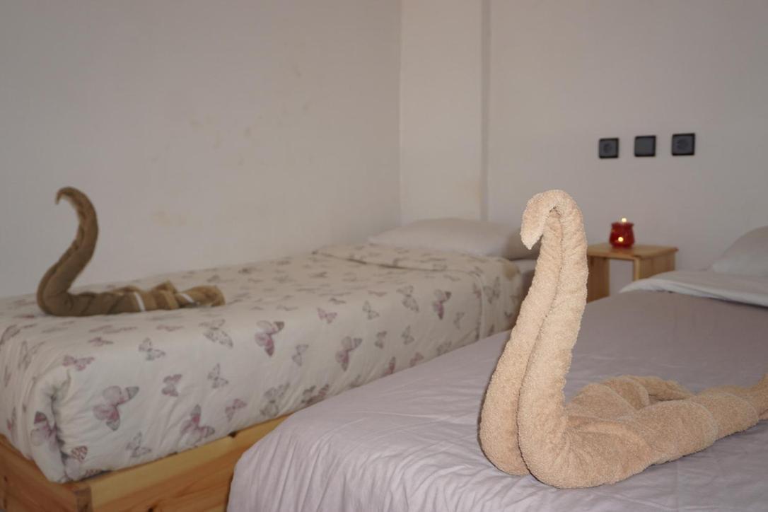 Hostel The Endless House Anchor Point Taghazout Εξωτερικό φωτογραφία